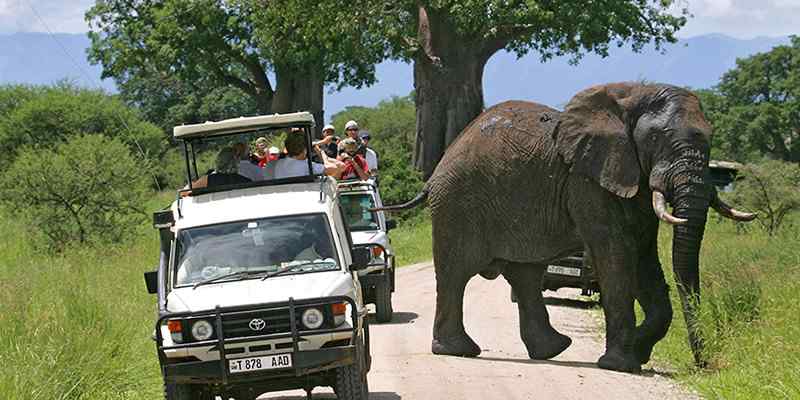 Lake Mburo National Park