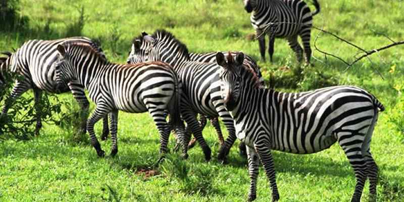 Kidepo National Park