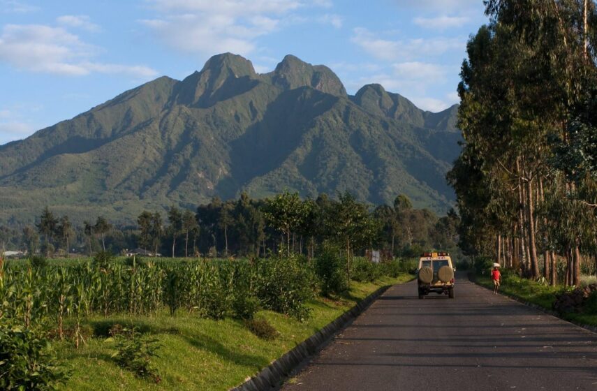 13 Days of Guided Uganda Insights, Self Drive in Volcanoes National Park