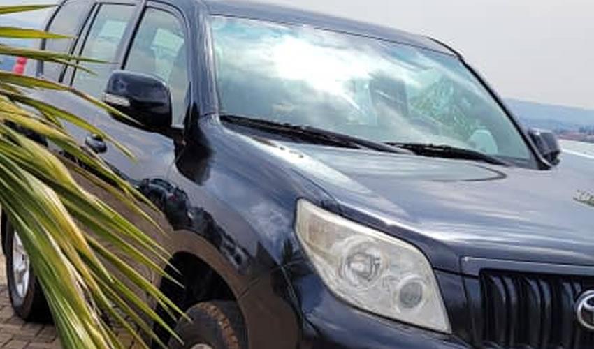 Car Hire