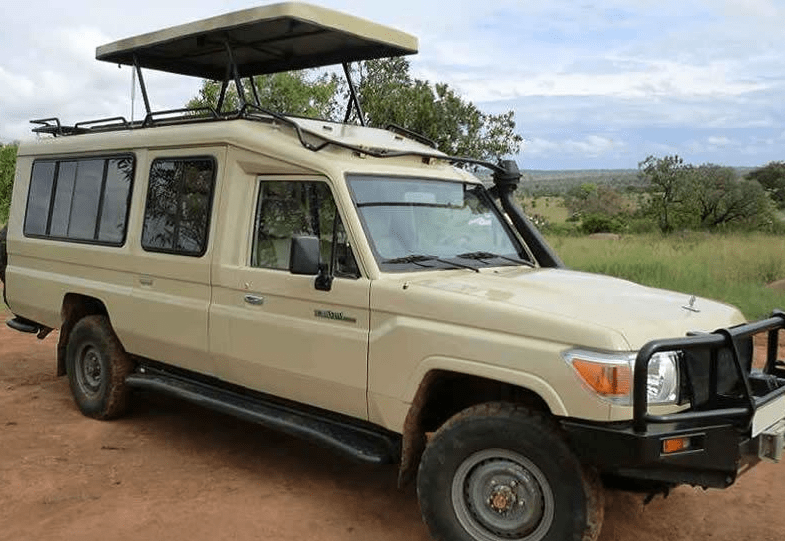 car rental Rwanda, car rental Kigali, self-drive Rwanda, self-drive Kigali, Rwanda car hire, Kigali car hire, SUV rental Rwanda, SUV rental Kigali, 4x4 rental Rwanda, 4x4 rental Kigali, airport transfer Kigali, airport pickup Rwanda, luxury car rental Rwanda, luxury car rental Kigali, Rwanda tour packages, Kigali city tour, guided tours Rwanda, chauffeur services Rwanda, chauffeur car Kigali, affordable car rental Rwanda, cheap car rental Kigali, monthly car rental Rwanda, weekly car rental Kigali, long-term car rental Rwanda, short-term car rental Kigali, one-way car rental Rwanda, Rwanda safari rental, safari car rental Kigali, family car rental Rwanda, business car rental Kigali, executive car rental Rwanda, wedding car rental Kigali, rent SUV Kigali, rent a 4x4 Rwanda, best car rental Rwanda, reliable car rental Kigali, Kigali airport car rental, Rwanda car hire services, Kigali self-drive hire, Rwanda road trip rental, cheap SUV rental Kigali, rent car for safari Rwanda, Rwanda vacation car rental, car rental deals Kigali, book car rental Rwanda, online car rental Kigali, rent sedan Kigali, rent van Kigali, rent truck Rwanda, Rwanda camping gear rental, Rwanda GPS rental, Rwanda chauffeur hire, Rwanda executive transport, Rwanda business travel cars, luxury SUV rental Kigali, top SUV rental Rwanda, premium car rental Kigali, Kigali luxury rides, Rwanda corporate car rental, business car hire Rwanda, car rental Rwanda deals, discount car rentals Kigali, Rwanda adventure tours, Kigali private car hire, Rwanda transport rental, Kigali professional drivers, Rwanda rental company, car rental reviews Rwanda, best car deals Rwanda, car hire rates Rwanda, Rwanda self-drive tips, Kigali driving rules, Rwanda road trip advice, top rental cars Rwanda, car rental near Kigali airport, best SUVs Rwanda, luxury cars Rwanda, Kigali VIP transport, Rwanda business rental solutions, Rwanda event car rentals, special car hire Rwanda, Rwanda vehicle rental company, Rwanda car rental promotions, Rwanda last-minute car rentals, rent 4x4 Rwanda cheap, affordable 4x4 rentals Kigali, Kigali car hire service, Rwanda self-drive tours, best self-drive routes Rwanda, Akagera safari self-drive, Volcanoes National Park rental, Lake Kivu rental car, Nyungwe Forest car rental, Rwanda self-drive safari packages, Kigali road trip ideas, family road trip Rwanda, corporate travel Rwanda, Kigali rental cars for tourists, Rwanda rental cars for expats, cheap airport transfers Kigali, Rwanda intercity transfers, Kigali transportation rental, Rwanda private driver services, Kigali chauffeur booking, Rwanda car rentals with GPS, Kigali child seat rentals, camping car rentals Rwanda, Rwanda travel car rentals, Rwanda car hire online booking, Kigali SUV deals, Rwanda wedding car packages, car rental offers Rwanda, Rwanda car hire discounts, Rwanda group travel rentals, Kigali private tour cars, Kigali rent a car fast, Rwanda car leasing options, Kigali 4x4 adventure rentals, best off-road cars Rwanda, rent Prado Kigali, rent Rav4 Kigali, rent Land Cruiser Rwanda, rent Toyota Hilux Kigali, reliable SUVs Rwanda, best off-road rentals Rwanda, self-drive hire Kigali Rwanda, Rwanda explore by car, Rwanda self-drive adventure, Kigali rent car with driver, Rwanda holiday car rentals, Rwanda tourism car rental, Kigali car rental cheap rates, Rwanda last-minute rentals, rent pickup truck Rwanda, Kigali business transport rental, Rwanda top car hire services, Kigali car rental specials, Rwanda discounted car rentals, Kigali SUV rental offers, Rwanda easy car rentals, Rwanda top 4x4 hire, rent car Rwanda budget, rent SUV Kigali cheap, rent 4x4 Rwanda deals, best Kigali self-drive cars, Rwanda rent car online, best SUV hire Kigali, Rwanda rent car for safari, Kigali 4x4 safari rentals, Rwanda family travel rentals, Rwanda road adventure rentals, Kigali trip car rentals, affordable Kigali rentals, Rwanda trusted car rental, Rwanda best rental rates, Kigali SUV booking, rent luxury SUV Kigali, Rwanda executive car services, Kigali city rental car, rent self-drive Rwanda SUV, Rwanda SUV road trips, rent car Rwanda offers, Rwanda SUV tour rentals, cheap Rwanda car rental options, rent 4x4 self-drive Rwanda, Rwanda rent SUV for parks, Rwanda self-drive guide, Kigali self-drive deals, Kigali car rental info, best SUV tours Rwanda, Rwanda top rental vehicles, Kigali premium rental cars, rent Hilux Rwanda, rent Fortuner Kigali, Rwanda cheap SUVs for rent, rent automatic car Rwanda, best car rental insurance Rwanda, Rwanda roadside assistance car rentals, Kigali emergency car rental, Rwanda best travel vehicles, rent Toyota Fortuner Kigali, self-drive national parks Rwanda, Rwanda hire car for gorilla trek, Kigali SUV safari vehicles, rent Rwanda best SUVs, Rwanda top self-drive deals, Kigali best SUV cars, Rwanda SUV adventure cars, SUV cars Kigali rent, rent 4x4 Rwanda safari, Rwanda rent Toyota Prado, rent Toyota Land Cruiser Rwanda, Kigali Hilux rental services, Rwanda high-quality SUVs for rent, Kigali affordable car hire, rent car for long trip Rwanda, Rwanda car rental packages, Kigali vehicle hire for safaris, Rwanda rent SUV near me, top Rwanda safari vehicles, rent car Kigali downtown, car rental Kigali city center, SUV rental near Kigali airport, car rental Rwanda 24/7 service, Rwanda flexible car rentals, Rwanda city transport hire, Kigali car hire for tourists, Rwanda best car rental agencies, rent SUV Rwanda online, book 4x4 Rwanda fast, Rwanda road trip with kids, Rwanda self-drive eco-tourism, best cars for Rwanda roads, Rwanda airport rental car pickup, Kigali trusted car rentals, best cars for Nyungwe tours, Kigali luxury rental services, Rwanda cheap rental options, Kigali airport chauffeur services, Rwanda top-rated rental cars, car hire Rwanda best rates, Kigali rent car for wedding, Rwanda special event transport, rent luxury sedans Kigali, Rwanda high-end car rentals, Kigali business trip rentals, Rwanda long stay car hire, Kigali corporate car rental offers, rent car Rwanda best prices, SUV rentals for Rwanda parks, best rental car for gorilla trekking, rent Toyota Rush Rwanda, Rwanda new cars for rent, Kigali event transport rentals, Rwanda VIP SUV rentals, cheap Rwanda car rental deals, SUV hire Kigali best prices, rent 4x4 Kigali online booking, Rwanda hire car with GPS, Kigali car rentals for foreigners, rent executive car Rwanda, Rwanda prestige car hire, Kigali exclusive SUV rentals, Rwanda affordable self-drive deals, best Rwanda city car hire, Kigali SUV rental prices, Rwanda car hire promotions, Kigali SUV rental discounts, rent Land Cruiser Rwanda deals, rent double cabin Rwanda, Rwanda ultimate self-drive experience, Kigali best rated car hire, Rwanda secure car rental, Kigali comfortable SUV rentals, rent Fortuner Rwanda price, SUV rentals Rwanda compare prices, rent SUV Kigali promotions, Rwanda unbeatable car hire prices, Kigali adventure car rentals, Rwanda SUV hire for families, Kigali rent comfortable SUVs, Rwanda spacious SUV rentals, Kigali rent budget SUVs, Rwanda car hire insurance tips, Kigali Toyota Hilux rentals, Toyota Prado Kigali rent, Rwanda car hire for tourists tips, best Rwanda travel rental vehicles, Rwanda clean car rentals, Kigali top notch car rentals, rent Hilux pickup Rwanda, Rwanda cheap 4x4 safari vehicles, SUV safari rentals Rwanda, Kigali secure car hire, Rwanda seamless car rentals, Kigali fastest car hire service, Rwanda instant car booking, Kigali SUV rental agencies, best self-drive car hire Rwanda, Rwanda self-drive rental guide, Kigali best 4x4 rental companies, Rwanda SUV self-drive travel, Kigali rent 4x4 online, SUV rental company Kigali Rwanda, Rwanda tourist car hire, Kigali easy car booking, Rwanda best rental SUV options, Kigali fast car hire online, Rwanda budget SUV car rentals, Kigali affordable Toyota Hilux rental, Rwanda rugged 4x4 rentals, Kigali special car hire rates, Rwanda group SUV rentals, Kigali Toyota Fortuner rental deals, Rwanda best group travel cars, Kigali rent SUV without driver, Rwanda rent self-drive Toyota, Kigali new model car rentals, Rwanda off-road adventure rentals, Kigali wildlife safari car rentals, Rwanda park entrance travel rentals, rent 4x4 Rwanda with pop-up roof, Kigali private game drive rentals, Rwanda SUV rentals for safaris, Kigali Toyota Land Cruiser hire, Rwanda travel car hire tips, Kigali self-drive wildlife tours, Rwanda eco-friendly self-drive, Kigali budget 4x4 hire options, Rwanda explore hills by SUV, Kigali rent fuel-efficient SUVs, Rwanda family SUV rental packages, Kigali luxury safari vehicles for rent, Rwanda guided tours with rented cars, Kigali wildlife car rentals, Rwanda park drive self-drive tips, Kigali affordable self-drive routes, rent Toyota SUVs Rwanda cheap, Kigali top 4x4 rentals for travel, Rwanda rent SUV with camping gear, Kigali SUV camping packages, Rwanda road trips by SUV rentals, Kigali flexible travel car rentals, Rwanda car rental early bookings, Kigali family road trip cars, Rwanda off-road rentals for safaris, Kigali guided tour car rentals, Rwanda Toyota Prado best rentals, Kigali adventure SUV deals, Rwanda budget car hire for tourists, Kigali car rental for remote areas, Rwanda weekend getaway car hire, Kigali best eco-tourism SUV rentals, Rwanda national park rental services, Kigali SUV self-drive for photographers, Rwanda scenic drives rental tips, Kigali drive Rwanda adventure rentals, SUV car hire Rwanda offers.
